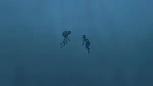 Задник к фильму "Красная черепаха" #211936