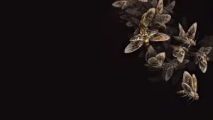 Задник к фильму "Молчание ягнят" #174487