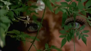 Задник к фильму "" #468959