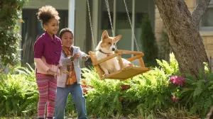 Задник к фильму "Собачья жизнь" #204547