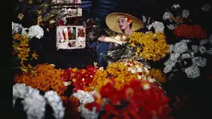 Задник к фильму "Забавная мордашка" #711334