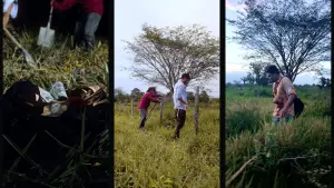 Задник к фильму "" #746022