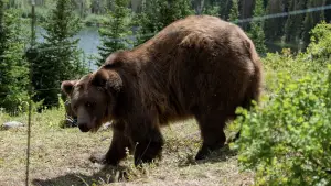 Задник к фильму "" #516494