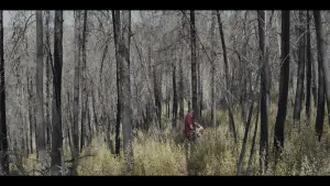 Задник к фильму "" #453487