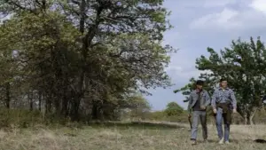 Задник к фильму "Изгои" #648878