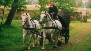 Задник к фильму "Пан Тадеуш" #726852