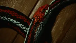 Задник к фильму "" #584079