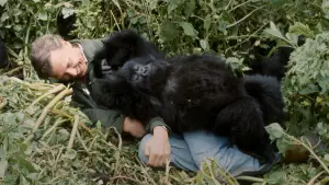 Задник к фильму "A Gorilla Story: Told by David Attenborough" #776261