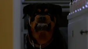 Задник к фильму "Выходной день Ферриса Бьюллера" #674796