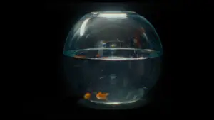 Задник к фильму "Проект «Убийца Зодиак»" #780238