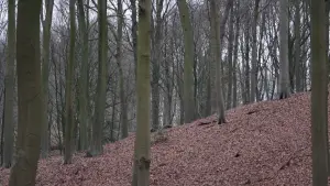 Задник к фильму "" #418397