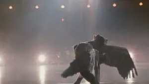 Задник к фильму "Чёрный лебедь" #595772