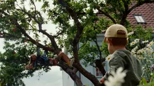 Задник к фильму "" #198223