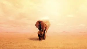 Задник к фильму "Королева слонов" #423849