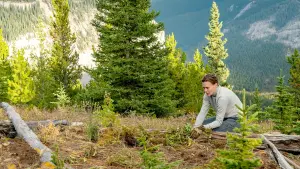 Задник к фильму "Земля" #335092