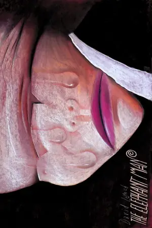 Постер к фильму "Человек-слон" #681258