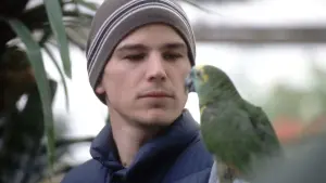 Задник к фильму "Без ума от любви" #395223