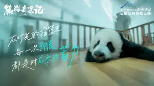 熊猫奇遇记