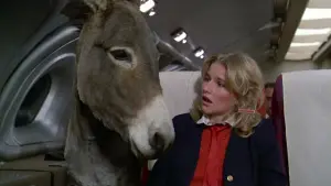 Задник к фильму "Аэроплан" #226984