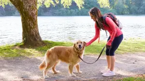 Задник к фильму "Любовь и Солнце" #426380