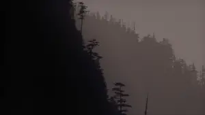 Задник к фильму "Твин Пикс: Сквозь огонь" #643227