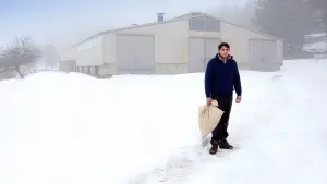 Задник к фильму "Магия зверя" #392059