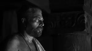 Задник к фильму "" #311853