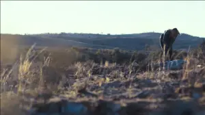 Задник к фильму "Аутбэк" #408965