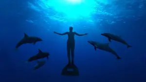 Задник к фильму "Бухта" #463136