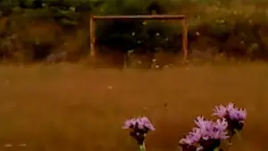 Задник к фильму "Сухой лист" #623389