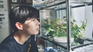 Задник к фильму "恋に至る病" #784620