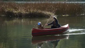 Задник к фильму "Мой дедушка - инопланетянин" #312520