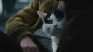 Задник к фильму "Тихое место: День первый" #563298