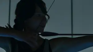 Задник к фильму "Голодные игры: И вспыхнет пламя" #625180