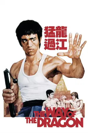 Постер к фильму "Путь дракона" #745729