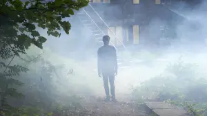 Задник к фильму "Оно приходит ночью" #346329