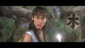 Задник к фильму "Ниндзя пяти стихий" #471128