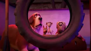 Задник к фильму "Королевский корги" #309737