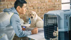 Задник к фильму "" #495346