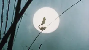 Задник к фильму "" #733529