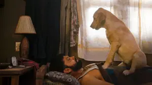 Задник к фильму "777 Чарли" #418948