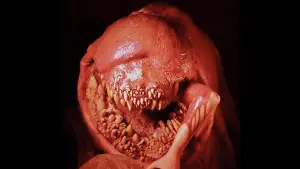 Задник к фильму "Смертельный выводок" #428918