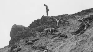 Задник к фильму "Полевые огни" #470344