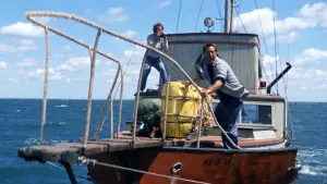 Задник к фильму "Челюсти" #521048