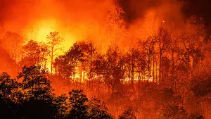 Задник к фильму "В огне" #402493