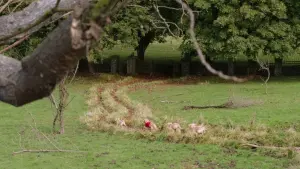 Задник к фильму "Мистическая пятерка" #428680