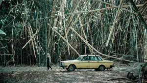 Задник к фильму "Сладкая река" #495728