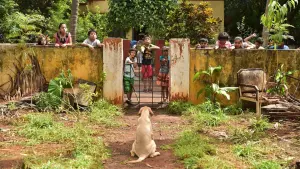 Задник к фильму "777 Чарли" #418963