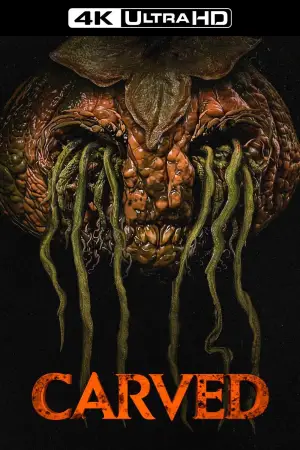 Постер к фильму "Вырезанная" #737592