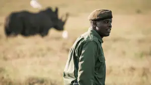 Задник к фильму "Rhino" #923507